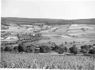 Blick vom Mandelberg auf die Trasse (Erdbau) Im Hintergrund Unterführung des OV Dertingen - Lindelbach