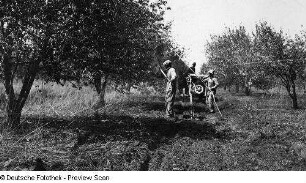 Oklahoma, Landwirtschaft, Obstbau, Obstplantage, Aufnahme, State Board of Agriculture, Oklahoma
