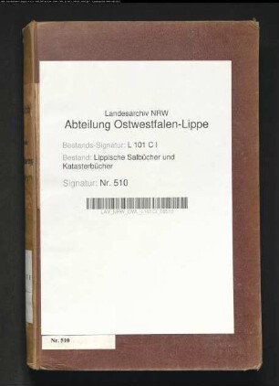 Salbuch der Stadt Blomberg von 1854, Bd. 1