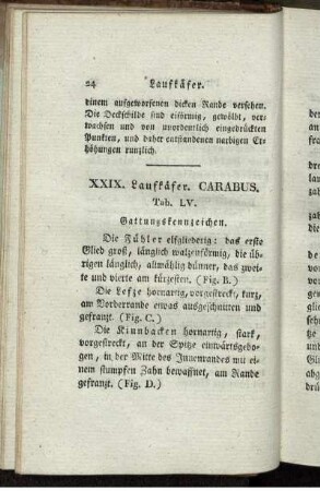 XXIX. Laufkäfer CARABUS.