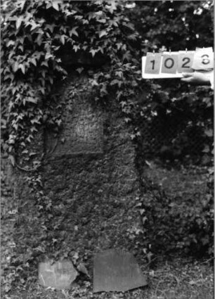 Grabstein 1028