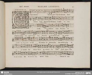 XIV. Cantate Domino canticum novum