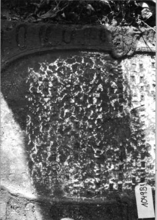 Grabstein 1049 (Index: 99751151) Material: Sandstein Zustand: stark verwitt/Textverl/Stele liegend Maße HxBxT: 172x76x9 cm Beschreibung: Stele, ovales Schriftfeld Symbolik: Blumen, Ranken: Grabstein 1049B