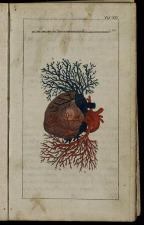 Siebentes Stück. Sonnabends, den 18ten Februar 1797