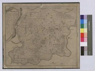 Delineatio der Gegend zwischen dem Main und der Tauber samt des kurmainzischen Orts Werbachs, dann derer würzburgischen Ortschaften Böttigheim und Neubrunn daranstoßenden nebst des bronnbachischen Orts Reicholzheim Dorfsgemarkung (Inselkarte)