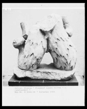 Fragment eines Triton