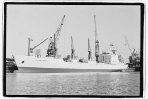 Blumenthal (1983), Kühlschiff, Ernst Jacob, Flensburg, Bau-Nr. 633