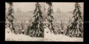 Blick über verschneiten Wald zu Felsformationen und Berghof, Zittauer Gebirge