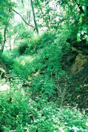 Hohlweg zum alten Steinbruch nö der Ortslage