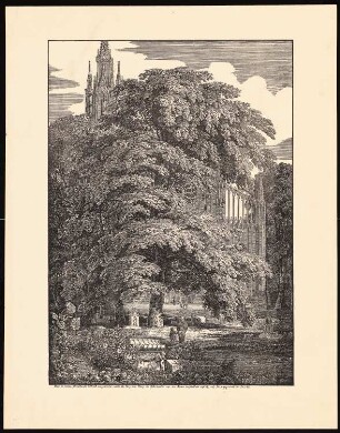 Baum mit Dom: Baum mit Dom (Versuch, die liebliche sehnsuchtsvolle Wehmut auszudrücken ...)
