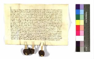 Walter von Hohenstein, Sohn des ¿ Walter von Hohenstein, bestätigt den durch seinen Vetter und früheren Vormund Rüdiger von Hohenstein zur Deckung der Schulden seines Vaters an Hans Schletz, Bürger zu Hall, erfolgten Verkauf des Hofes zu Hohenstein.
