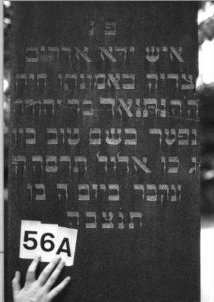 Grabstein 56 (Index: 100084999) Maße HxBxT: 240x60x35 cm Beschreibung: Obelisk, getreppter Sockel: Grabstein 56A (Nachholaufnahme)