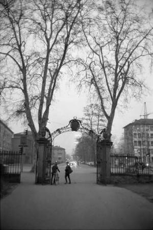 Winterstimmung im Schlossgarten
