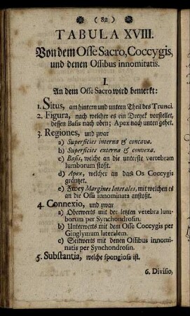 Tabula XVIII. Von dem Osse Sacro, Coccygis, und denen Ossibus innomitatis.