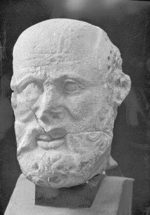 Südmetope 9: Kentaur und Lapith — Kopf des Kentauren