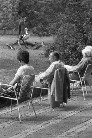 Sommertag im Stadtgarten