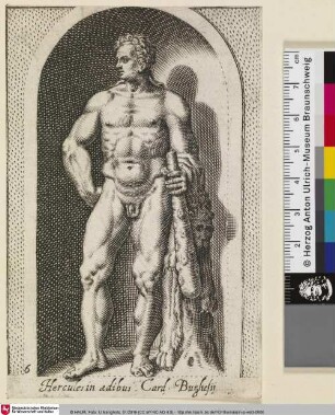 Hercules in ædibus Card. Burghesij