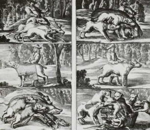 Technikgeschichte | Forstwirtschaft, Jagdwesen | Jagdwesen | Jagdmethoden | Hatz, Parforcejagd