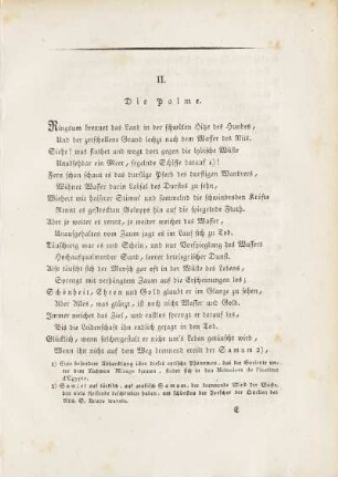 II. Die Palme