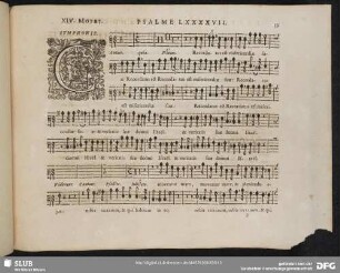 XIV. Cantate Domino canticum novum
