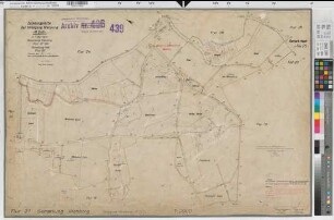 Nienborg (Heek), Umlegung Nienborg, Zuteilungskarte Nienborg Flur 21