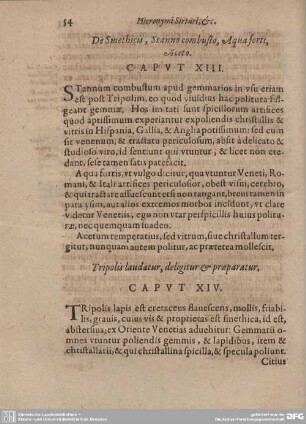 De Smethicis, Stanno combusto, Aqua forti, Aceto. CAPUT XIII.
