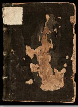 Psalterium - Cod.Don.186