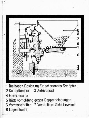 Schemazeichnung: Kartoffel, Kartoffellegemaschine