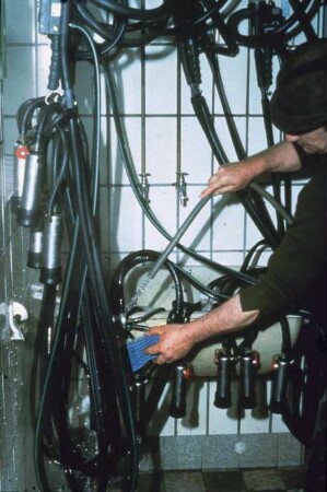 Fotografie: Melktechnik, Milchkammer, Reinigungstechnik, Melkzeug