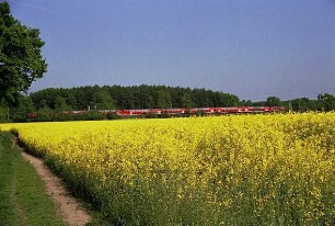 Bargteheide Richtung Tremsbüttel: Rapsfeld mit Zug dahinter (Regionalexpress)