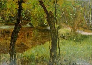 unbenannt [Partie am Neuen See]