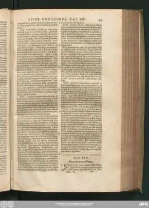 Cap. XIV. Quas oves paverit Petrus.