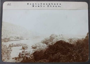 West-Usambara Mombo Ebene