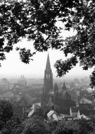 Freiburg: Münsterdurchblick vom Schlossberg