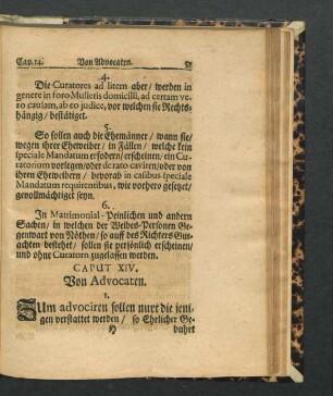 Caput XIV. Von Advocaten.