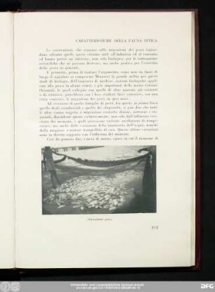 Caratteristiche Della Fauna Ittica