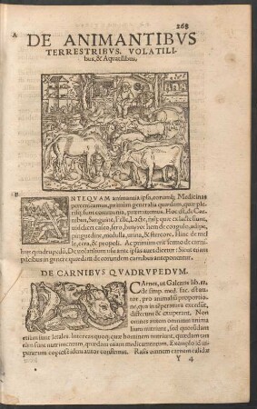 De Animantibus Terrestribus, Volatilibus & Aquatilibus.