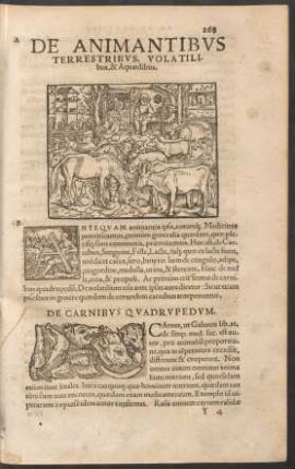 De Animantibus Terrestribus, Volatilibus & Aquatilibus.