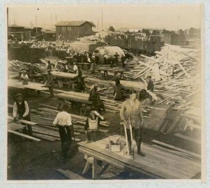 Foto der Sägearbeiten in einem von Frauen betriebenen Pionierpark