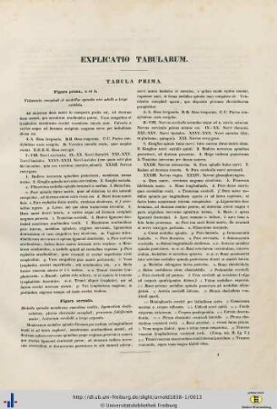 Explicatio Tabularum.