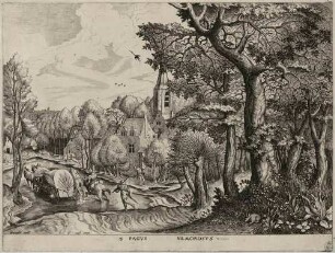 Pagus Nemorosus - Waldige Gegend
