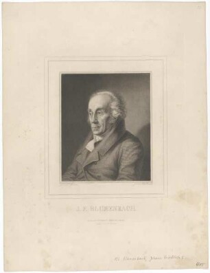Bildnis des J. F. Blumenbach