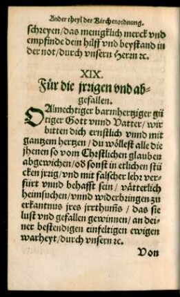 XIX. Für die irrigen und abgefallen.
