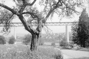 Kassel-Niederzwehren - Bergshausen: Straßenviadukt über die Fulda, mit Vordergrund, etwas tiefer