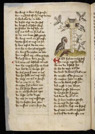 Weihe am Taubenhaus; (Von dem Weih und den Tauben, Kapitel XXVI nach Pfeiffer)