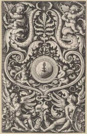 Ornamentfüllung mit rundem Schild und Putti, auf den Köpfen Delfin ähnlicher Wesen sitzend
