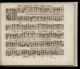 Tulerunt Dominum meum