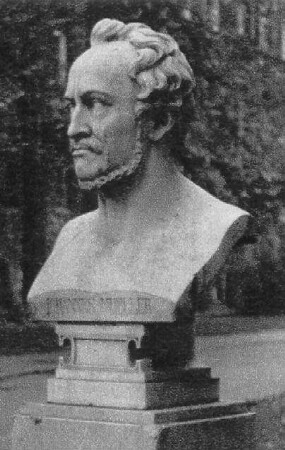 Büste Johannes Müller; Berlin, Mitte