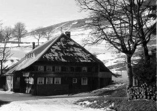 Todtnauberg: Schwarzwaldhaus in Todtnauberg