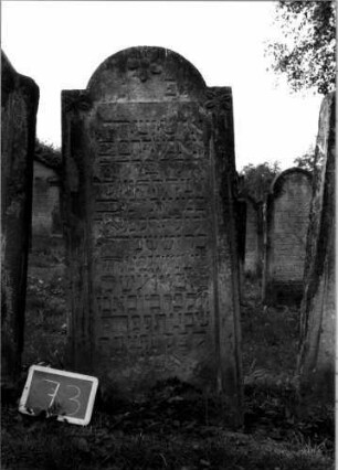 Grabstein 73 (Index: 100107185) Material: Sandstein Zustand: verwittert Maße HxBxT: 143x65x13 cm Beschreibung: Stele, eingezogener Rundbogenabschluß, Schrifttafel rechteckig Symbolik: drei Blüten: Grabstein 73